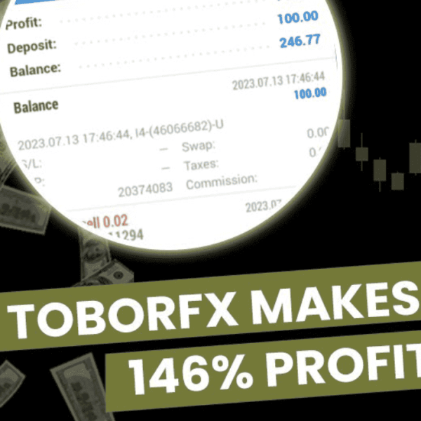 toborfx robot
