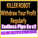 Endless Pips EA v2
