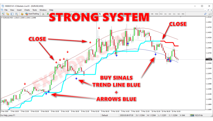 STRONG SYSTEM 6 cc27 a 0 1 700x400 1 STRONG SYSTEM