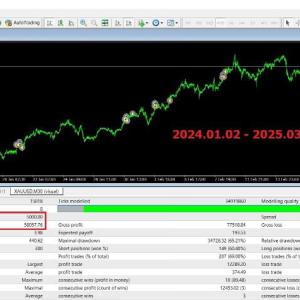 Gold SWmax EA 4 MT4 Unlimited - Image 7