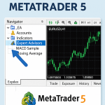 how to install Expert on mt5