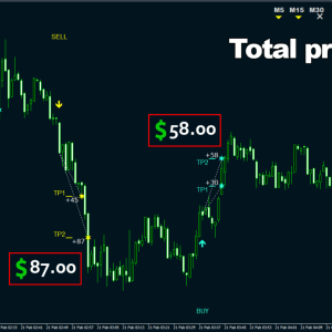 Oracle Scalper + Manager EA MT4 6 Oracle Scalper + Manager EA MT4 - Image 3