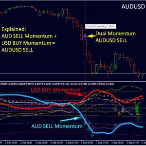 dynamic-forex28-navigator-