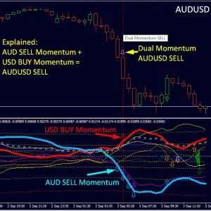 dynamic-forex28-navigator-