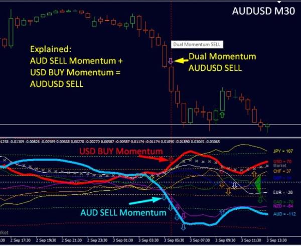 dynamic-forex28-navigator-