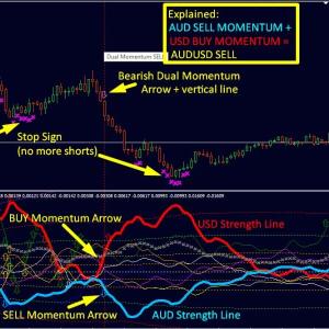 Dynamic Forex28 Navigator MT4 Download - Advanced Currency Strength Tool - Image 3