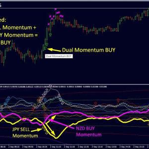 Dynamic Forex28 Navigator MT4 Download - Advanced Currency Strength Tool - Image 4