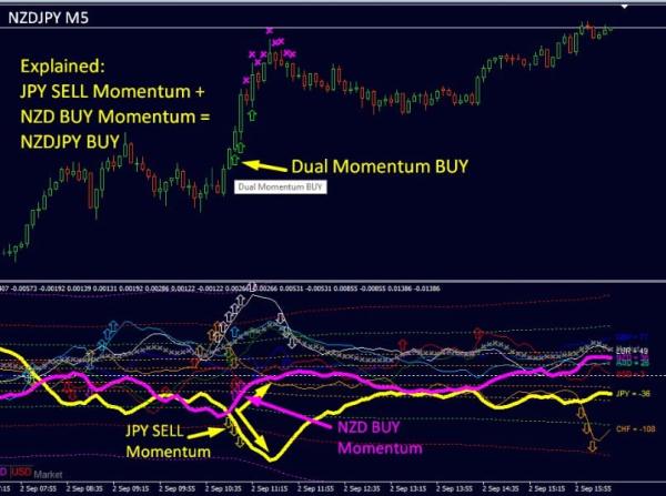 dynamic forex28 navigator screen 9827 preview Dynamic Forex28 Navigator MT4 Download - Advanced Currency Strength Tool
