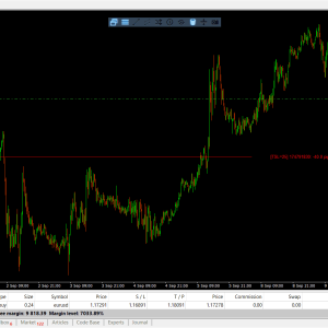 TraderAgent MT4