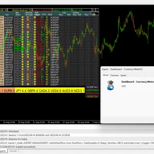 Dashboard Currency Meter