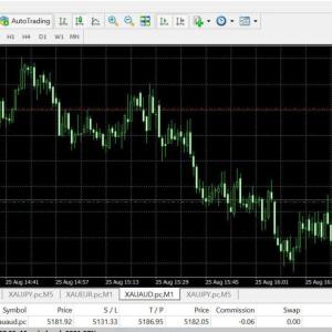 R34P3R by theponzETH EA – Expert Advisor interface on MetaTrader 4