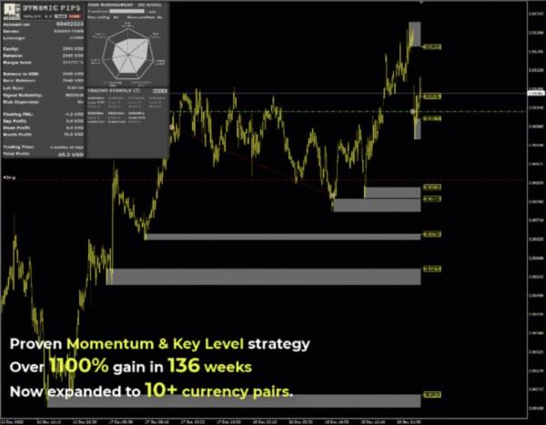 Dynamic Pips MT4