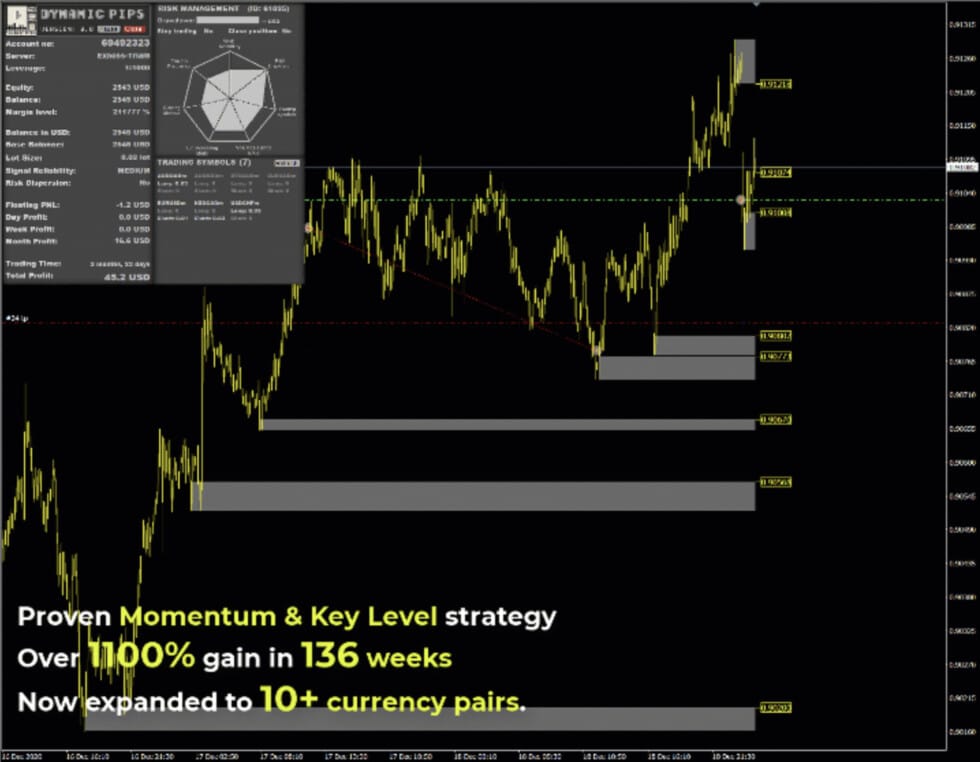 Dynamic Pips MT4