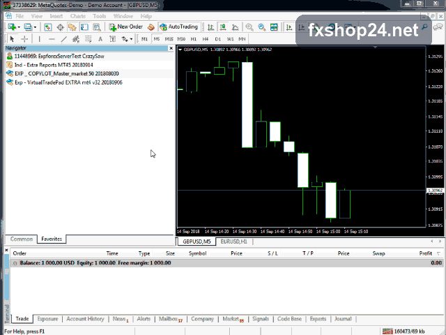 EXP COPYLOT Client MT4 6 EXP COPYLOT Client - backtest and live results