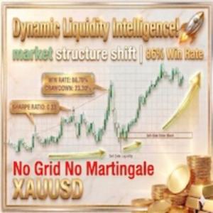 DYNAMIC LIQUIDITY INTELLIGENCE MT5 V2.27 BUILD 6249+