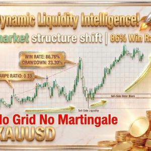 DYNAMIC LIQUIDITY INTELLIGENCE MT5 V2.27 BUILD 6249+